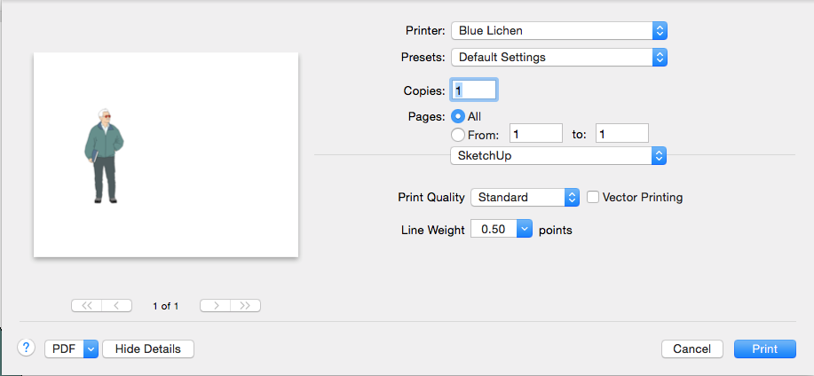 Selecting Document Setup options